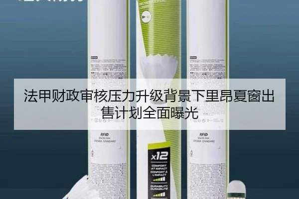 法甲财政审核压力升级背景下里昂夏窗出售计划全面曝光